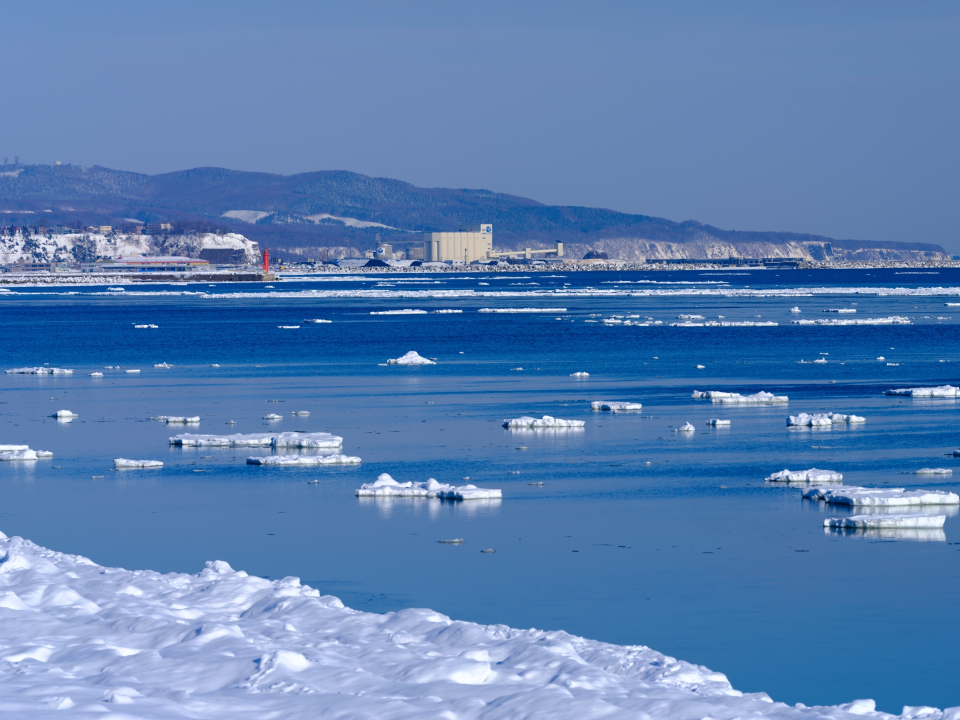 北海道 網走・紋別・北見・知床 ペットと泊まれる宿（ホテル・旅館・ペンション・一戸建て）