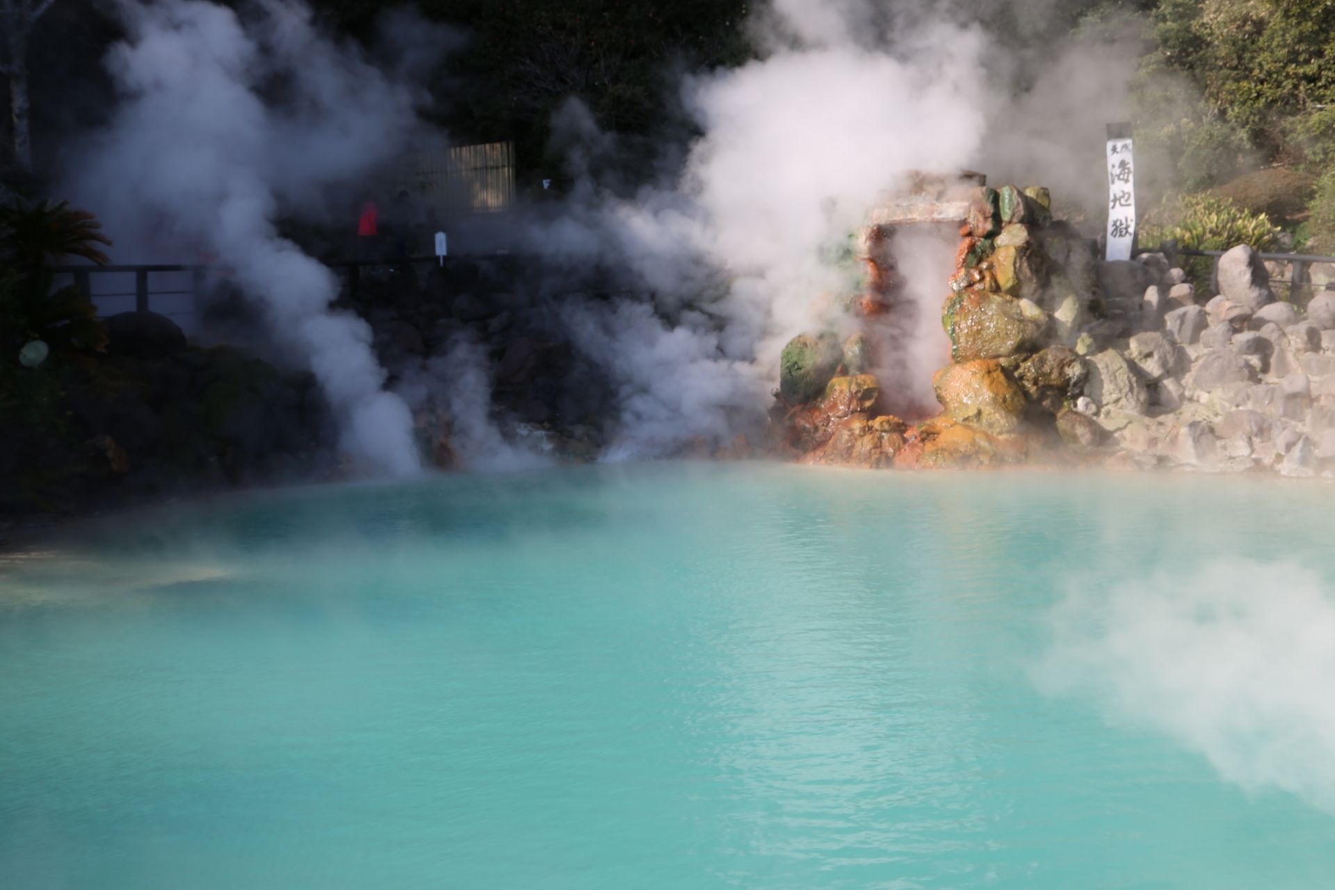 大分県 別府・日出 ペットと泊まれる宿（ホテル・旅館・ペンション・一戸建て）
