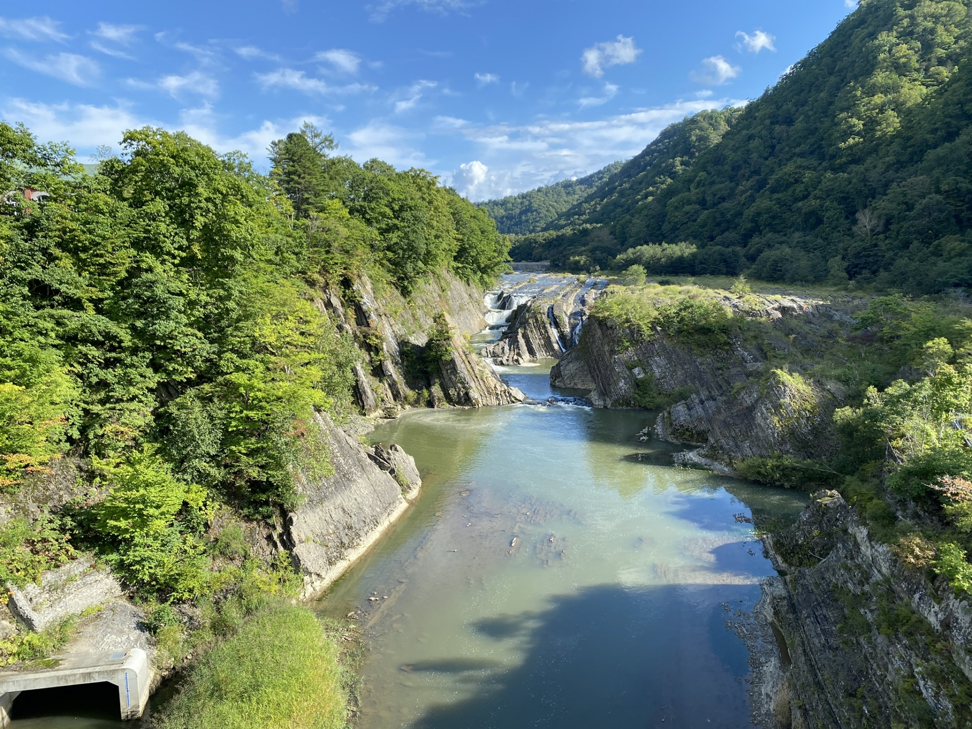 北海道 千歳・支笏・苫小牧・滝川・夕張・空知 ペットと泊まれる宿（ホテル・旅館・ペンション・一戸建て）
