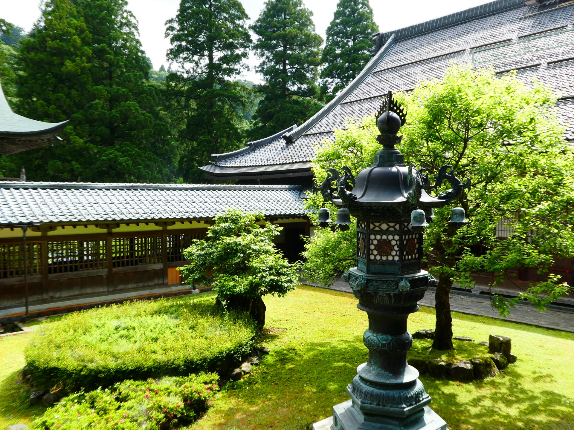 福井県 永平寺・勝山・大野 観光旅行･出張ホテル（ホテル・旅館・ペンション・一戸建て）