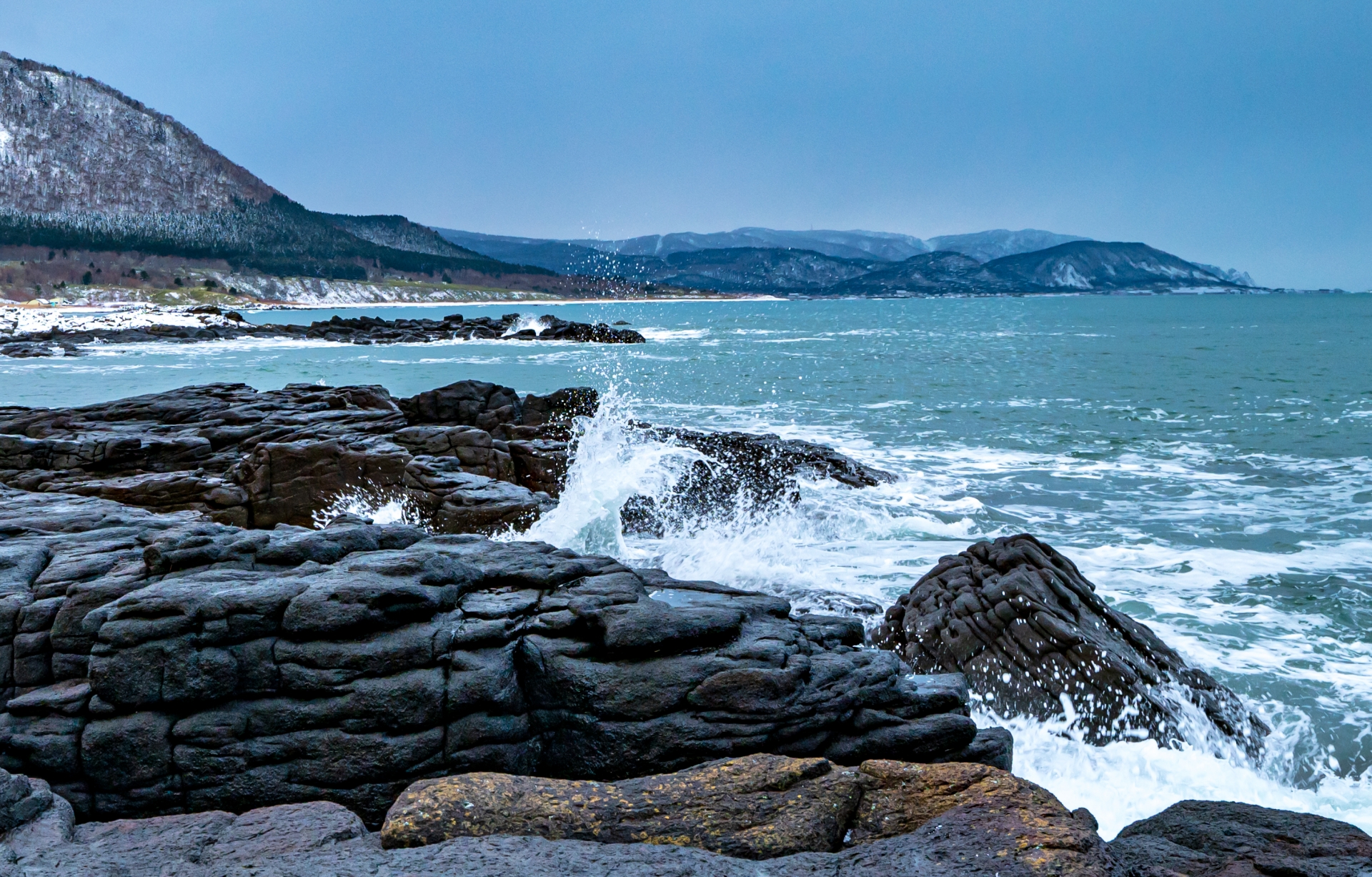 北海道 枝幸温泉 ペットと泊まれる宿（ホテル・旅館・ペンション・一戸建て）