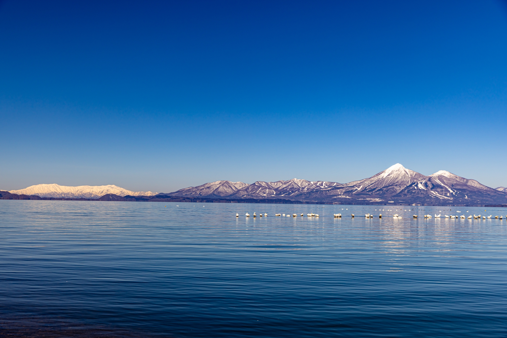 福島県 猪苗代・表磐梯 高級旅館･高級ホテル（ホテル・旅館・ペンション・一戸建て）