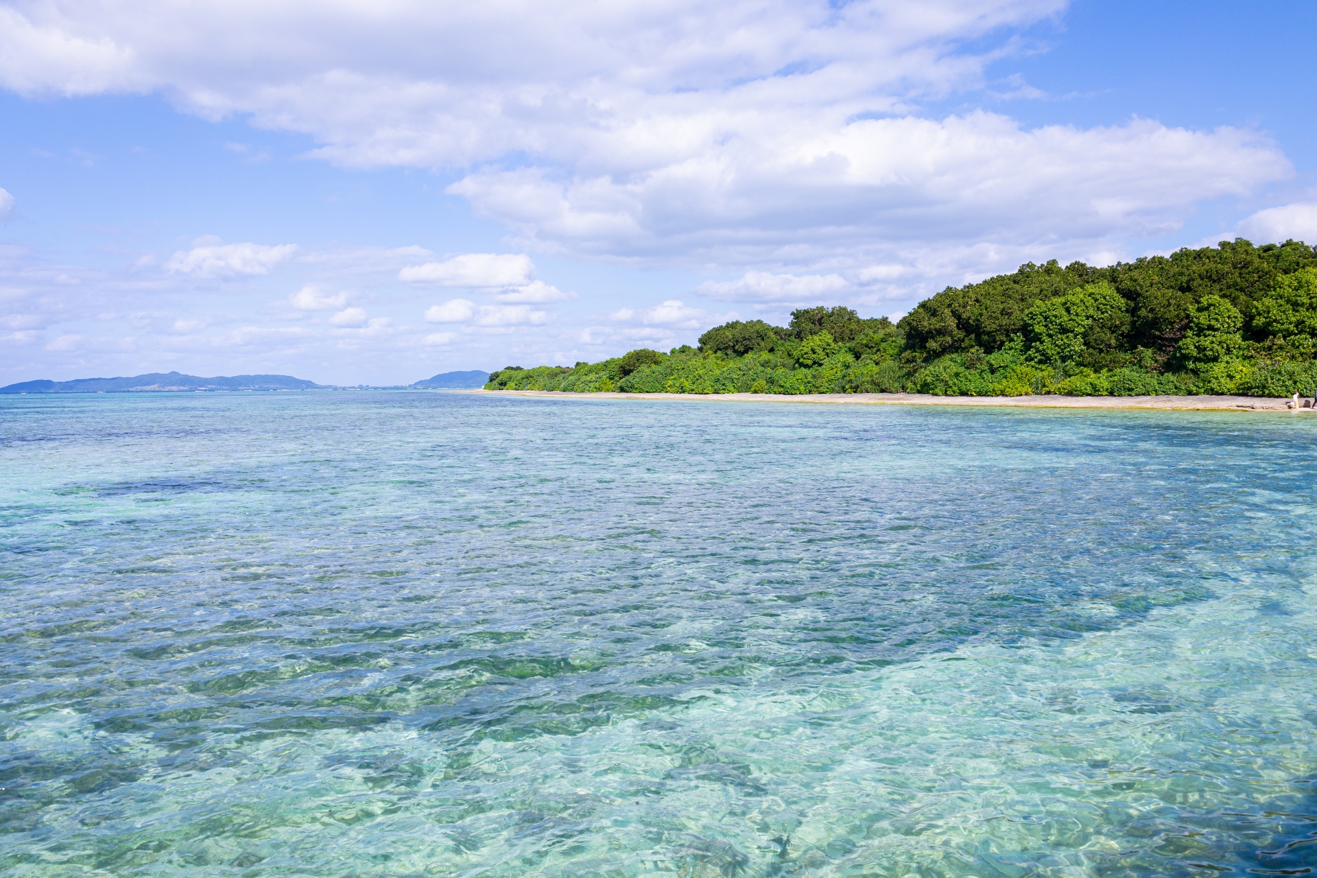 沖縄県 石垣・西表・小浜島 高級旅館･高級ホテル（ホテル・旅館・ペンション・一戸建て）