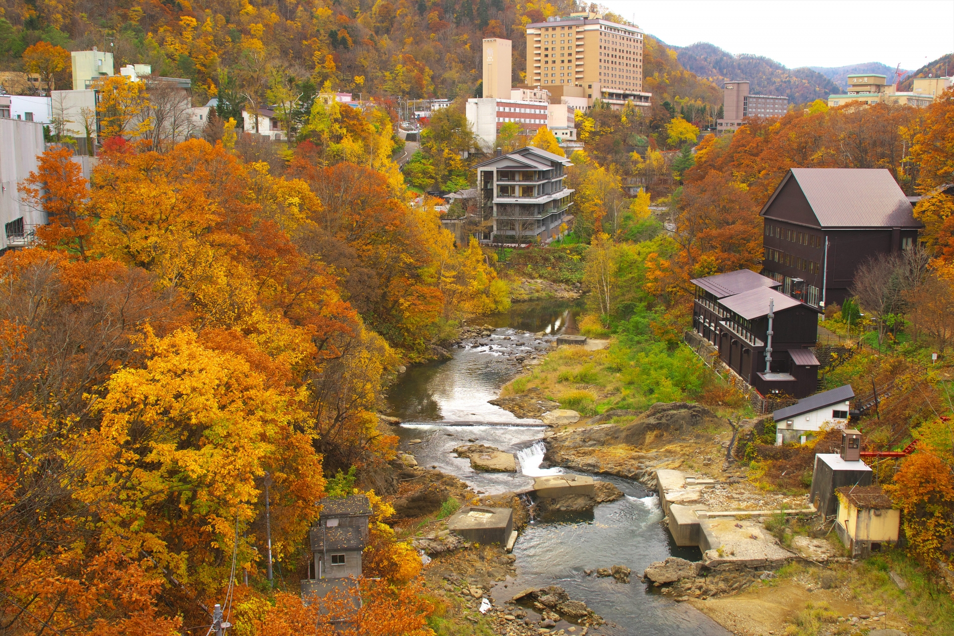 北海道 定山渓 ペットと泊まれる宿（ホテル・旅館・ペンション・一戸建て）