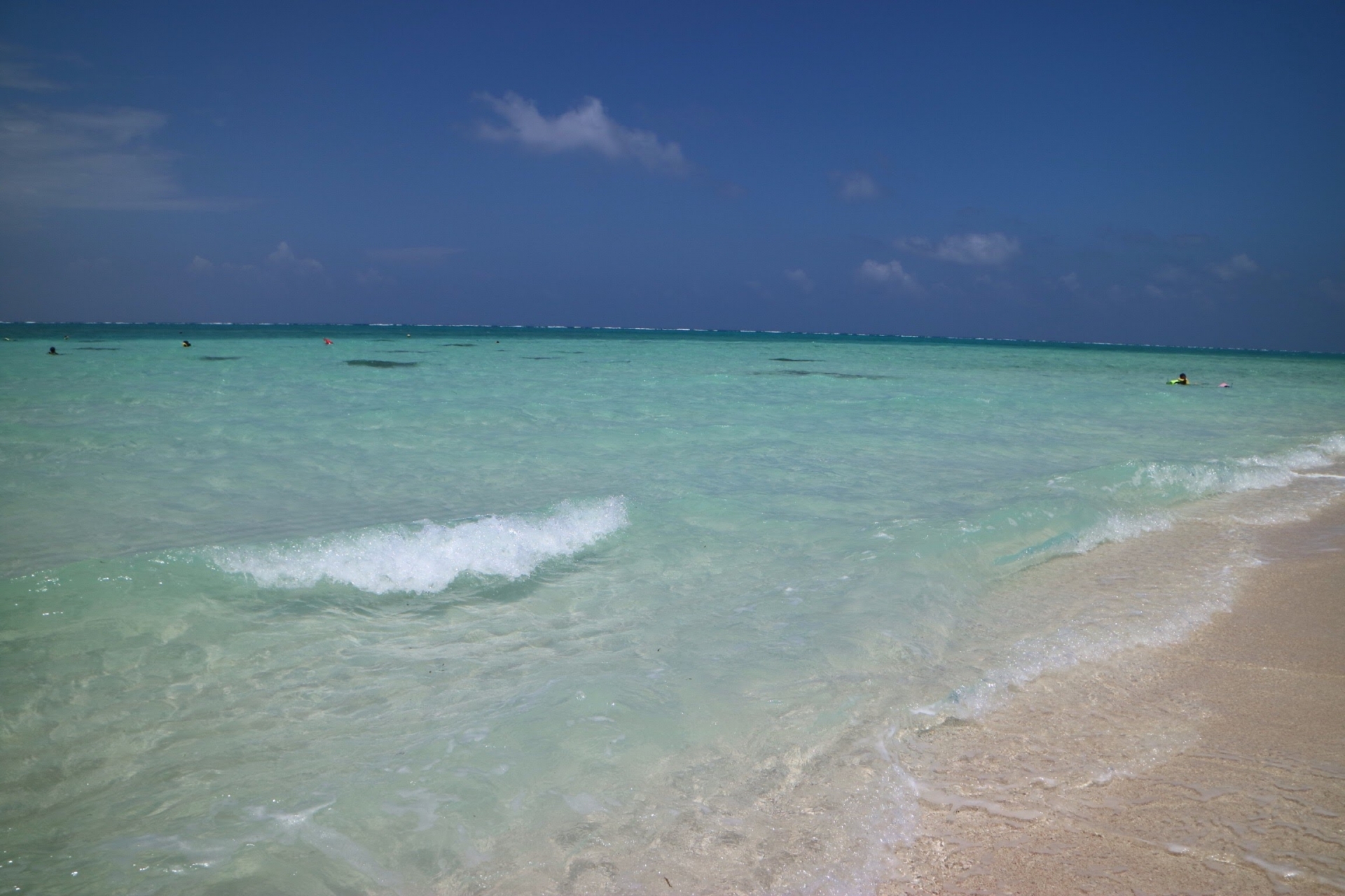 沖縄県 久米島 ペットと泊まれる宿（ホテル・旅館・ペンション・一戸建て）