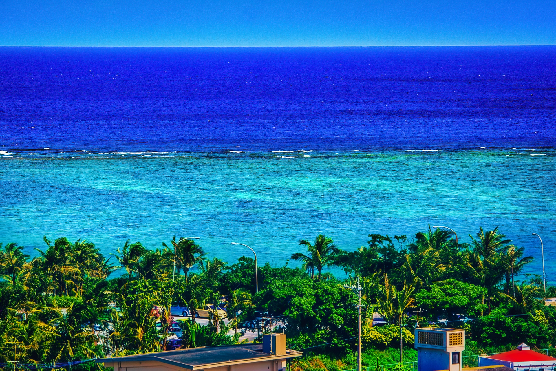 沖縄県 恩納・名護・本部・今帰仁 ペットと泊まれる宿（ホテル・旅館・ペンション・一戸建て）